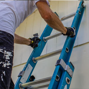 Ladder Safety Ladder Safety